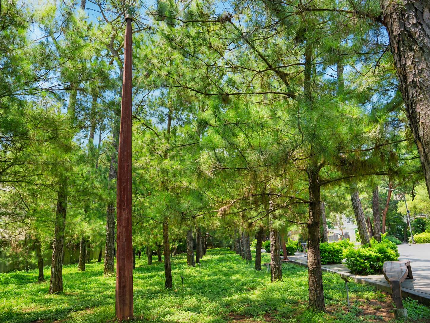 Listening to the Pine Wind (5).png
